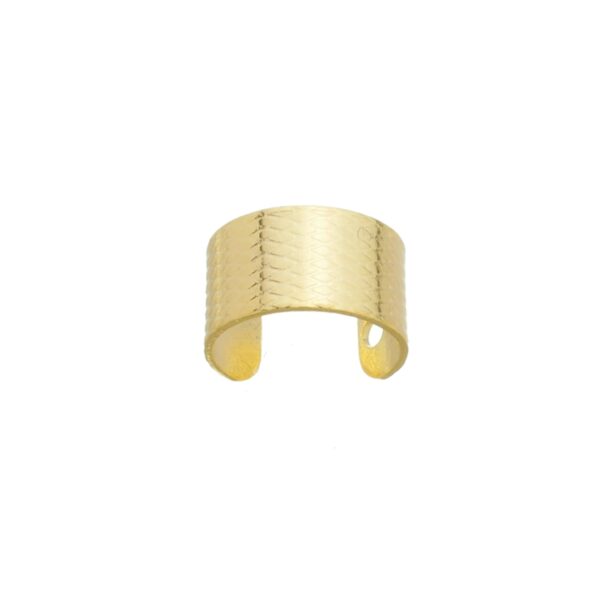 Piercing Fake Liso (BR 55)