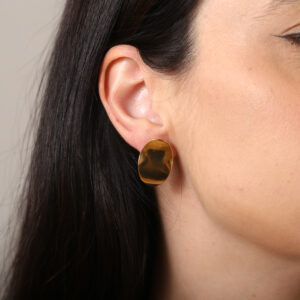 Brinco Estiloso Chapa (BR 600)