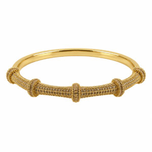 Bracelete Cravejado Cinco Circulos (PLD 3049/01)